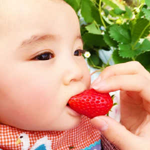 赤ちゃんがいちごを食べている写真