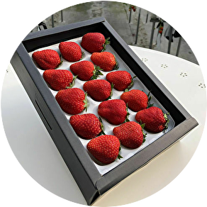 岩手県 北上市 いちご狩り 直売 発送 北上いちご園